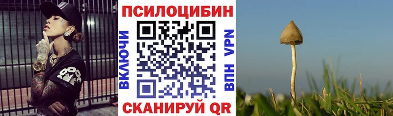 Псилоцибиновые грибы мицелий  Солнечногорск 